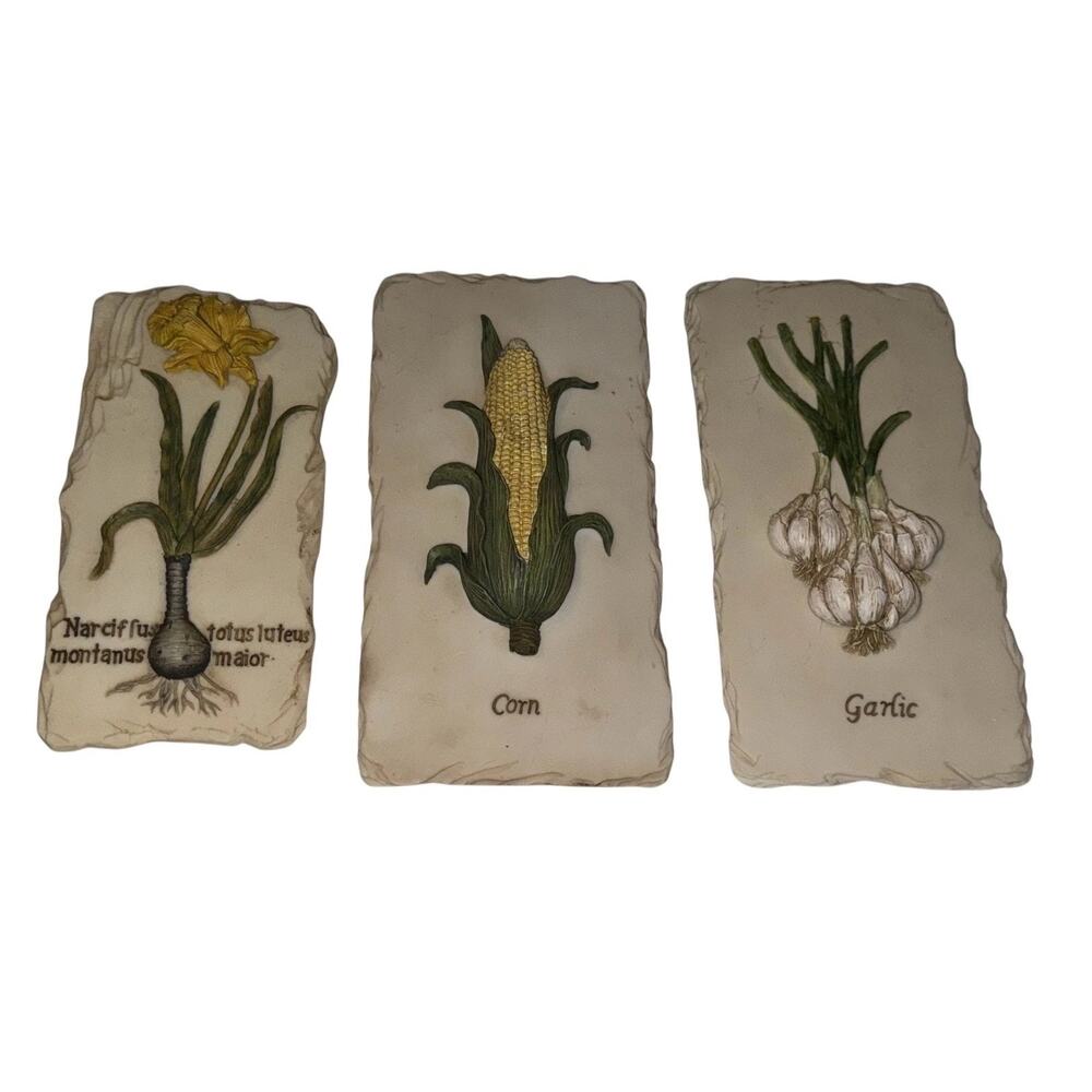 Botanical Wall Plaques Set of 3 Garlic Corn Narcissus One Neolin New York Cook
